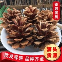 ���l�����ɹ� ��؛����ɢ�b�ɹ� �A�����������~�ɹ�һ�����lG