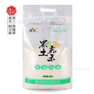 �����κ����׏S�����l�|������10�������׈A����˾��ُ ����5kg