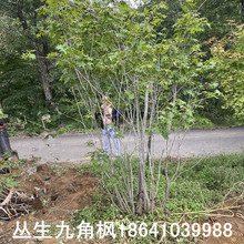 �|�� �����ŽǗ� �ŽǗ���� Ҏ��ȫ ���΃��� ��Ǘ����