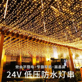 led灯串安全低压户外防水灯串24V全铜彩灯工程亮化新年圣诞装饰灯