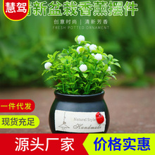 ��܇�[�����滨�����܇���bGɫֲ��܇�d�����մ������Ʒ��Ʒ