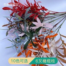 ��ɫ6���ϙ�֦���~����Gֲ�~ ��c��픲廨�bٻ� ���S���l