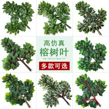 仿真榕树叶榆树叶枣叶 工程园林造景装饰塑料过胶假树叶 厂家直销