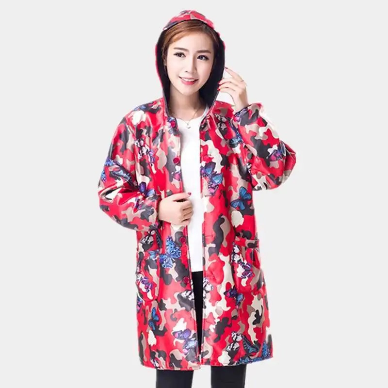 로즈 레드 나비