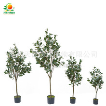 ������m�~�����ȼ������ԾGֲ��@�Ҿ��bٻ���c�zӰ����ֲ��