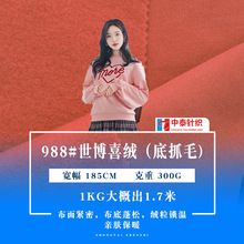 现货300g世博绒大卫衣绒布抓毛时装布料秋冬抓绒保暖时尚针织面料