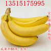 Williams banana saplings No. 9 Banana Kings Fan Jiao Emperor Banana Red Banana Seedlings Results fruit saplings