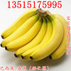 Williams banana saplings No. 9 Banana Kings Fan Jiao Emperor Banana Red Banana Seedlings Results fruit saplings