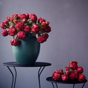 ��ɫ����ĵ�������͹Ž�߅���滨�ٻ��ɻ��[�O�b��͏d����