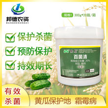 绿龙 20%百菌清大棚蔬菜草莓辣椒黄瓜霜霉病灰霉病烟熏农药杀菌剂