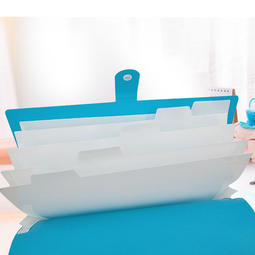 Amazon Color 6-Gate Single Button Organ Bag A4 Information Office Storage Organizing Organ Folder Wholesale
