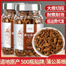 迎松堂 大蒲公英根茶200g 婆婆丁散装批发蒲公英根养生茶厂家代发