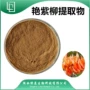 提取比例浸膏提取物