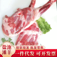 宁夏滩羊羊前腿新鲜冷冻羊肉烧烤食材羔羊前腿手抓肉烤羊腿