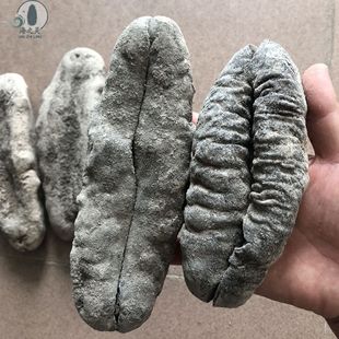 �i�Ņ��Ņ����i�Ş�ʯ���������l3�^һ�� ������؛���l����Џ���