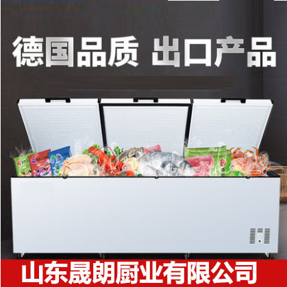 晟朗冰柜商用大容量冷冻冷藏超大卧式单温双温铜管速冻超市冰柜