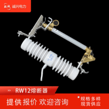 ֻRW12-12KV/200Aʽ۶մ12KVѹ۶