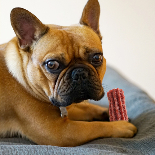 Weiji Dog Snacks Teddy Teeth Stick Teeth-Resisting Glue Pet Supplies for Medium and Large Dogs Golden Retriever Corgi Teeth Cleaning Bones