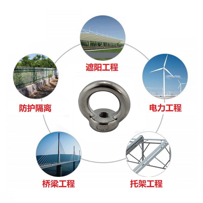 Нержавеющая сталь 304 316 DIN582 Судовые тяжелые подвесные кольца гайки стальной трос петли