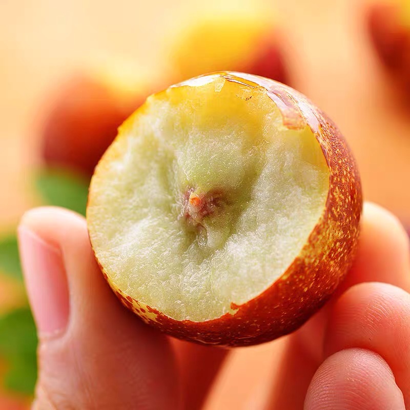 Zhanhua winter dates fresh large jujube freshly picked large fruit crispy sweet rock sugar green red jujube premium 5kg fresh crispy dates large fruit