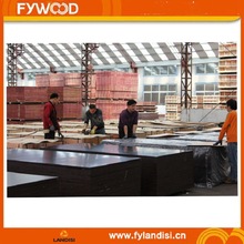厂家生产胶水覆膜板木板 杨木芯棕色覆膜板 酚醛胶建筑模板胶合板