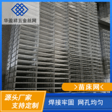 大棚苗床 温室移动固定育苗苗床网片 养花苗床 栽植床钢丝网厂家