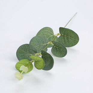 Simulation single -supporting money Ye Yugale leaf money supporting money grass and vine flower rings accessories flower arrangement of flower arrangement money grass