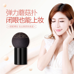 A Branch of Spring Mushroom Cushion Moisturizing Lightweight Concealer BB Beauty Cream Hydrating Brightening Foundation Cushion Wholesale