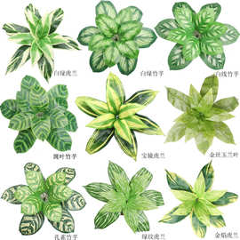 仿真绿植 仿真盆栽 室内仿真绿色植物盆栽装饰 仿真大号竹芋盆栽