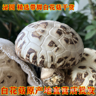 �׻�����؛��ꖿh�ڈ@���خa���㹽ľ����؛�ʳ�þ��������l500g