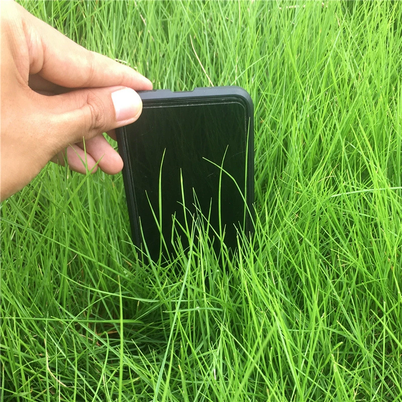 Оптовая Высокое Качество Импортные Семена Газона Bermudagrass Семена Газона Низкая Устойчивость к Проступи Почвы-фиксации Защита от склонов растений