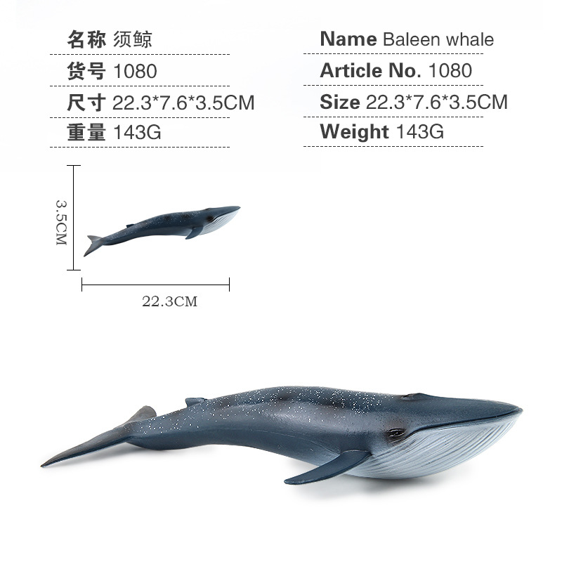 Transfronterizo nuevos niños de simulación de la vida marina mundo submarino modelo tortuga sello blanco tiburón ballena decoración juguete