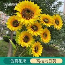 ��֦���տ� ̫ꖻ� �Ҿ��b[�O�����bٻ���@�L��c����