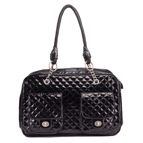 Teddy pet bag wholesale cat bag outing portable dog bag pet handbag cat bag small dog poodle backpack