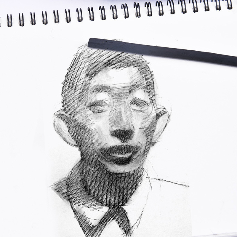 Tira de carbón de Sauce de algodón de bambú 2-9mm bosquejo dibujo lápiz de carbón tira de carbón 25 palos de carbono bosquejo pintura