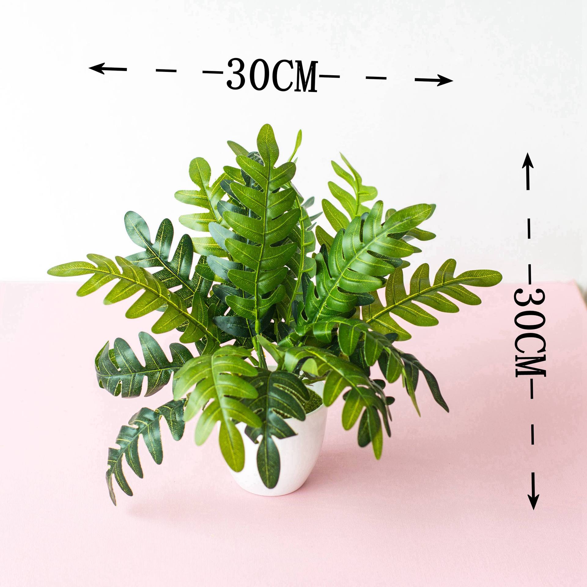 11 lá Ba Tư (có chậu)