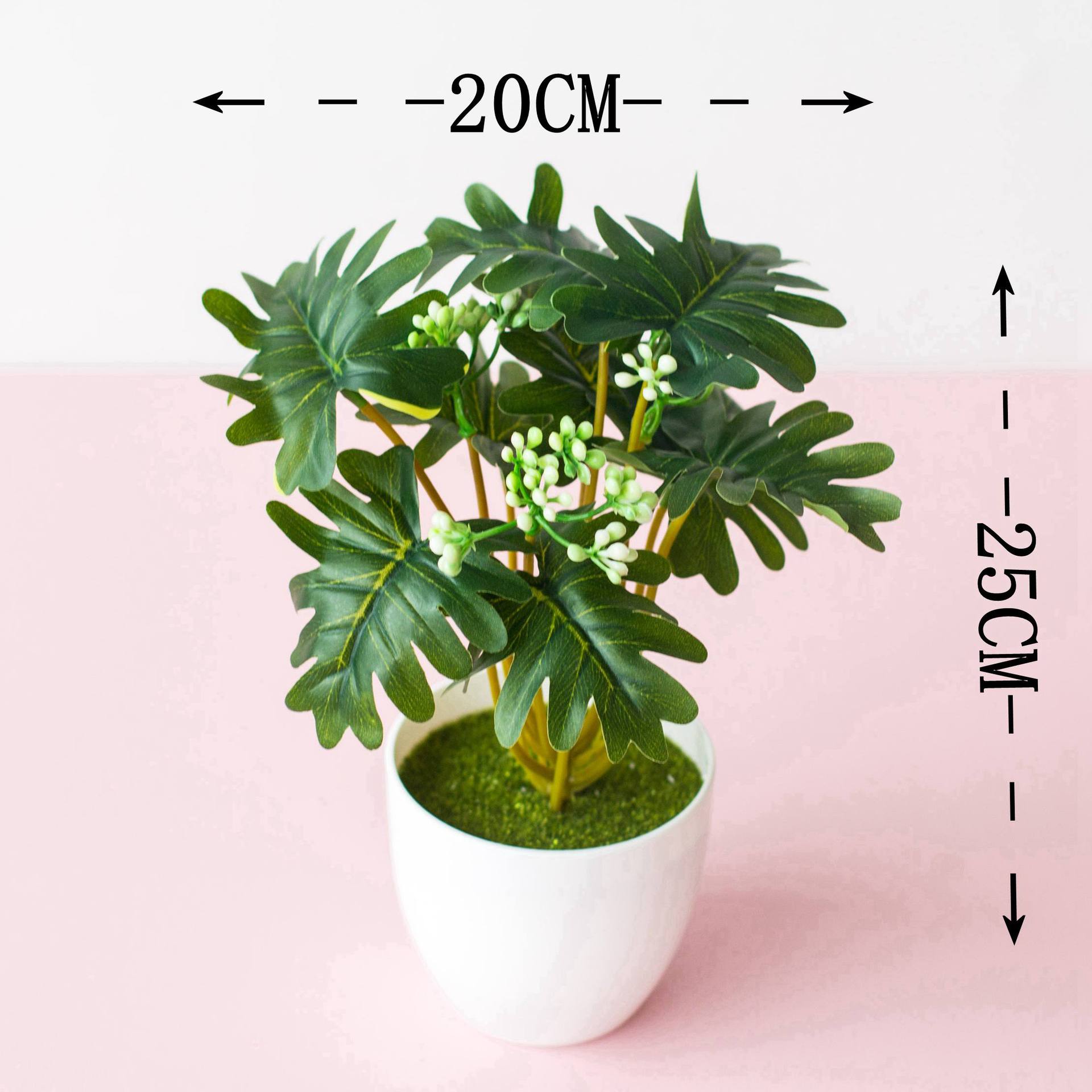 12 lá rùa có màu xanh đậm (có chậu)
