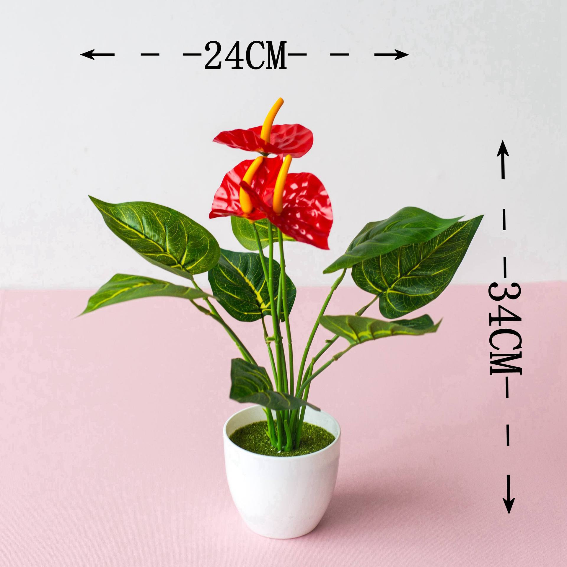Hồng môn nhỏ (có chậu)