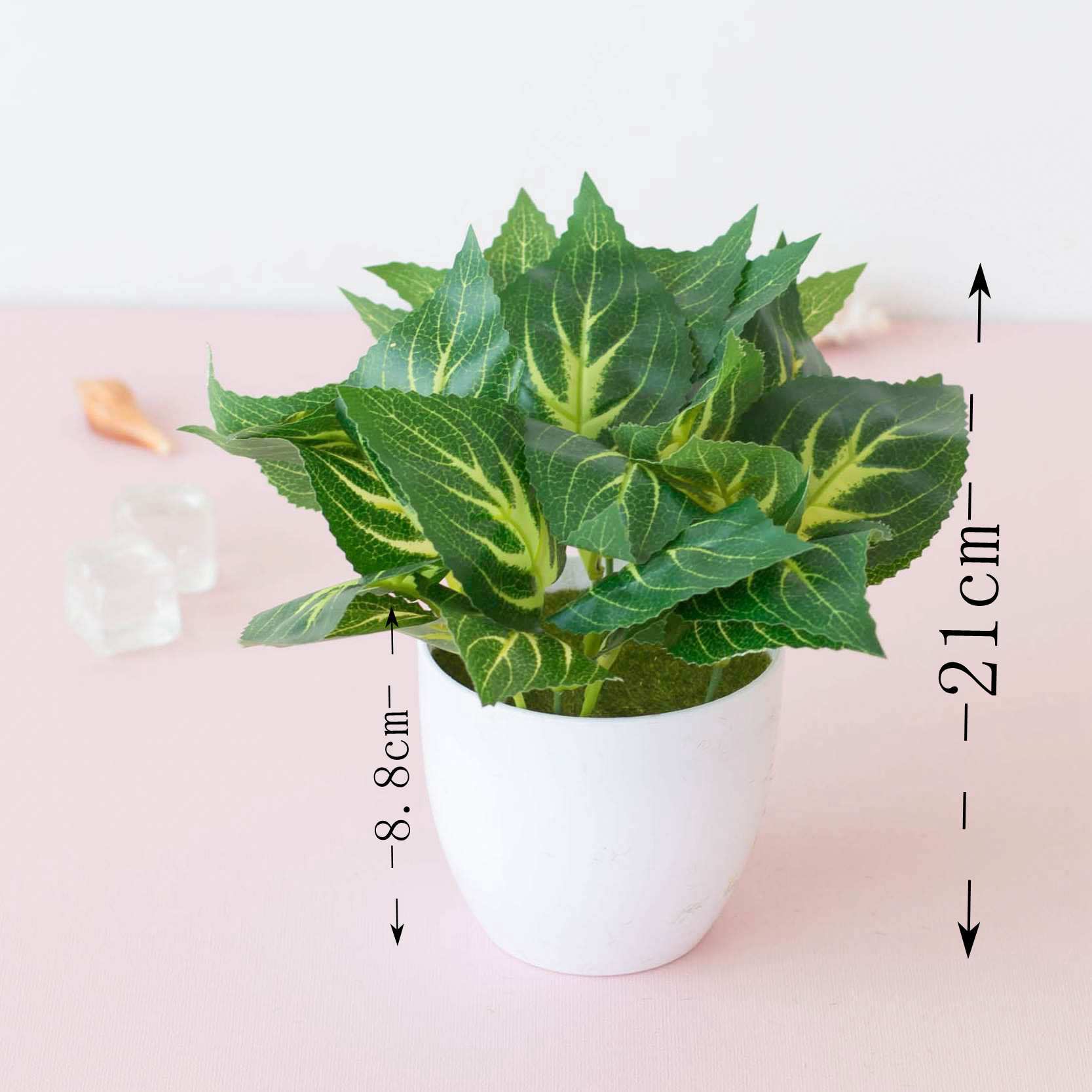 Màu Xanh lá cây mới (có chậu)