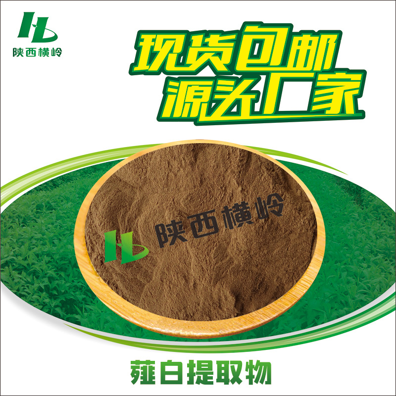 薤白提取物 30:1薤白粉 蒜头根/薤根提取物 水溶原料 量大价优