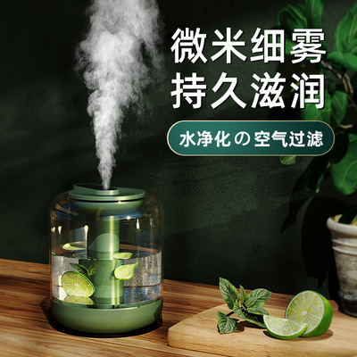 BF143花果加濕器 空氣淨化家用靜音大容量帶夜燈可加花瓣檸檬水果
