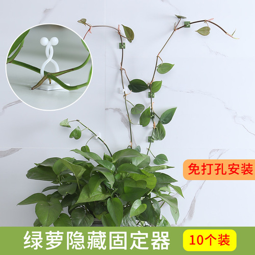 Plant green plant fixator green radish wall climbing artifact green basket vine climbing wall hanging stereotypes home indoor 10 pack