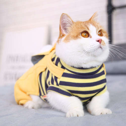 Kitten clothes, kitten four-legged trendy brand anti-shedding cat and pet warm and cute winter winter autumn and winter clothing