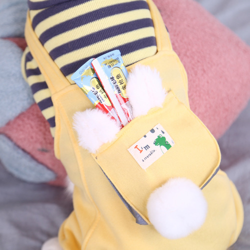 Kitten clothes, kitten four-legged trendy brand anti-shedding cat and pet warm and cute winter winter autumn and winter clothing