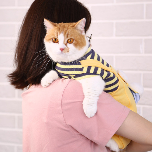 Kitten clothes, kitten four-legged trendy brand anti-shedding cat and pet warm and cute winter winter autumn and winter clothing