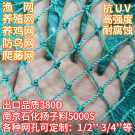 养殖网果树大棚蔬菜养鸡网防鸟网防逃网加厚尼龙网爬藤网渔网定制