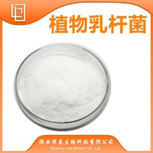 ֲU 100|/g  F؛ԭ SCJC