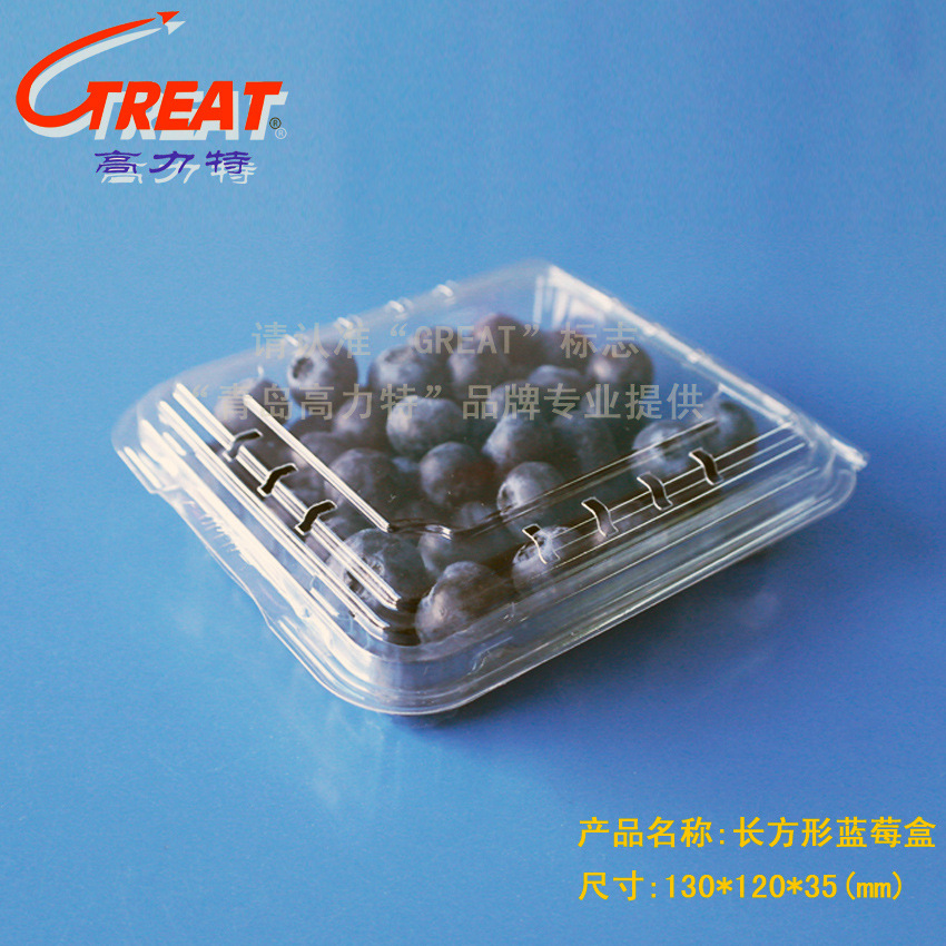 125克蓝莓包装盒pet材质透明塑料一次性水果水果包装盒厂家批发