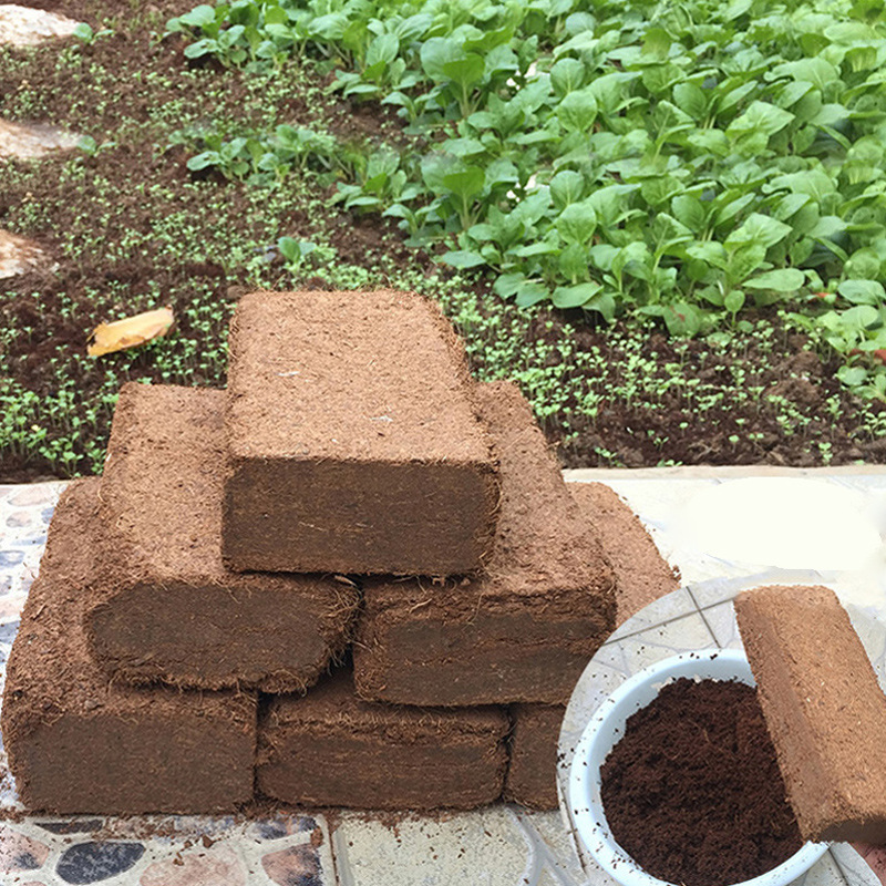 Coconut Brick Flower Cultivation Nutritious Soil for Planting Flowers and Vegetables Universal Flower Soil Organic Fertilizer Planting Soil Brick Coconut Powder Moisturizing Coconut Brick Flower Cultivation Nutritious Soil for Planting Flowers and Vegetables Universal Flower Soil Organic Fertilizer Planting Soil Brick Coconut Powder Moisturizing