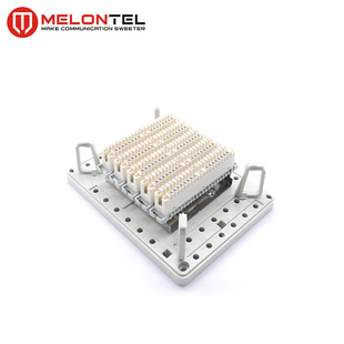MT-2304 �S��ֱ�N50��100�� ��¡ģ�K�Ӿ��з־���